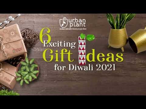 6 Exciting Gift Ideas for Diwali 2021- Urban Plant