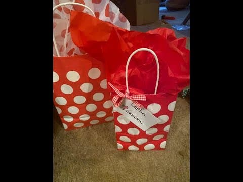 Gift Bags Assorted Sizes - 3 Bags Bundled with Coordinating Tissue Paper Tags and Raffia Ribb Review