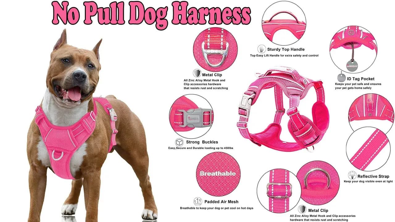 Reflective Dog Harness with Front Clip and Easy Control Handle for Walking Training Running
