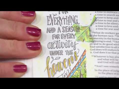 YouTube Video 0PDmMnrfs6c
