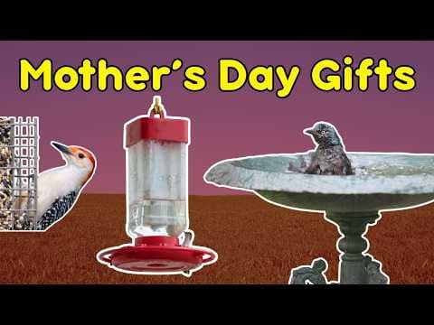 YouTube Video 2SbSHCQZ4EA