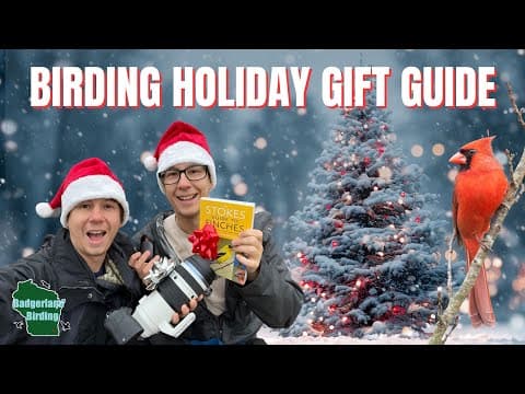 YouTube Video 3Ty35pShzMU