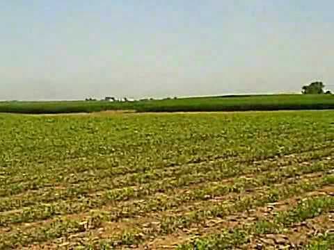 YouTube Video 6o8Q-lpSeWA
