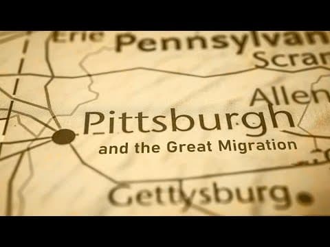 YouTube Video AQQPupsmTT4