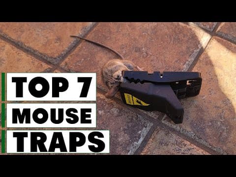 YouTube Video B9Vj3jnQp6c