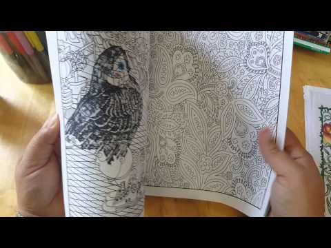 YouTube Video DjW3hIOlhF8