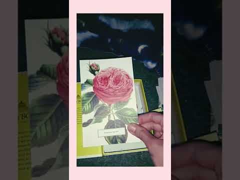 YouTube Video FUPRQ2etkiY