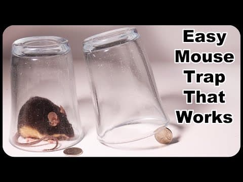 YouTube Video HMFF3MrX7mI
