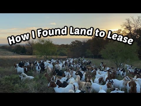 YouTube Video IWvBhY77_f8