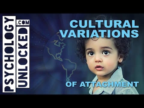 YouTube Video NnAamogRZM0