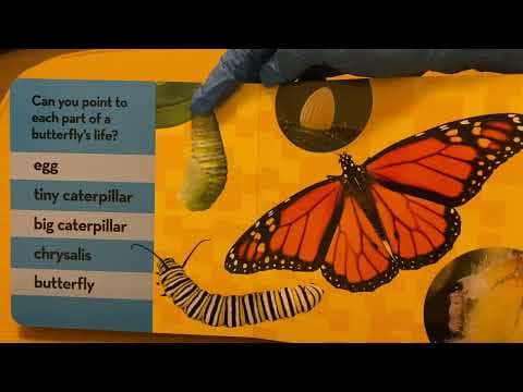 YouTube Video OlNqoFSsWYA