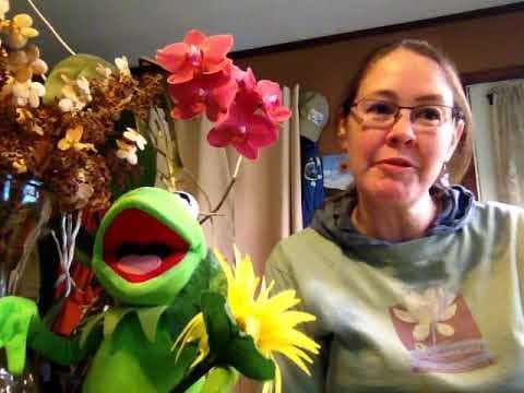 YouTube Video PRZpG51TIag