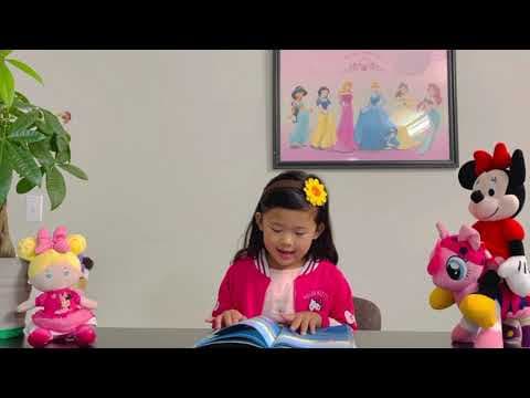YouTube Video PlCnIEEjPNI