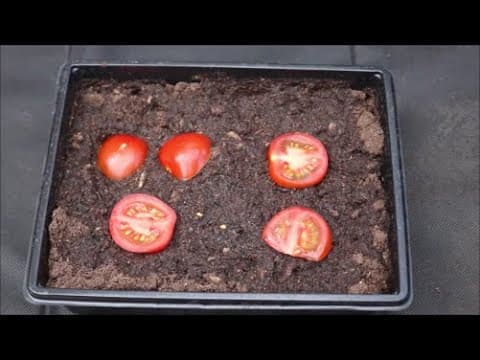 YouTube Video Rz025XlnhYQ