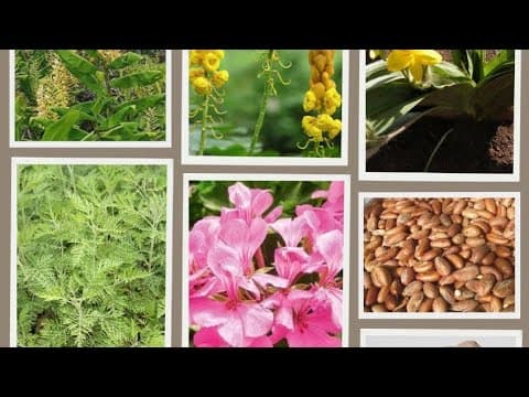 YouTube Video UJcsKSq5SPY