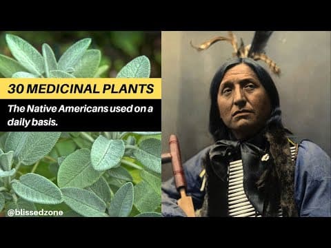 YouTube Video Y8e09BUquB8