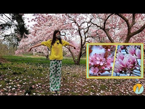 YouTube Video dRNK7ZfobtM
