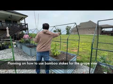 YouTube Video h7mLj-auvwQ