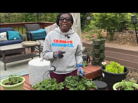 YouTube Video hrpAeYTXSOw