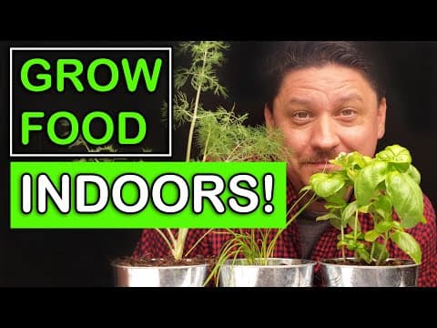 YouTube Video kw1LRqWQoQc