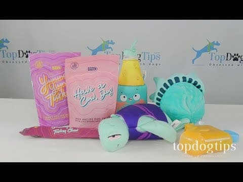 YouTube Video mWqkXC2Gm88