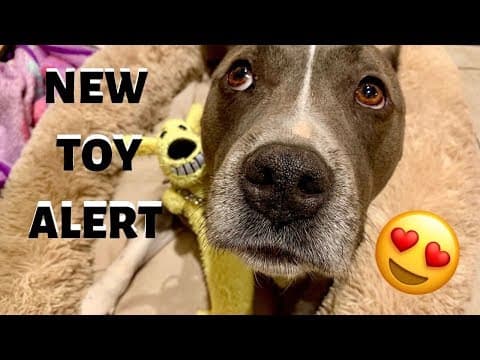 YouTube Video nKUT4yWnxk8