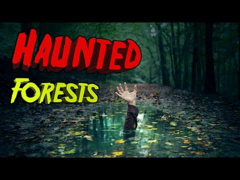 YouTube Video obRJayhpRjw