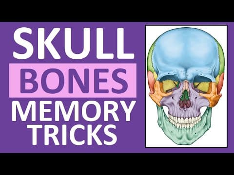 YouTube Video ocqoZyY12GM