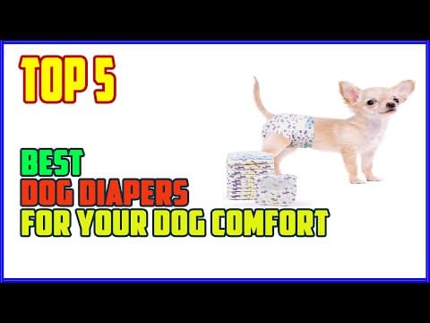 YouTube Video vp6hKYwjboM