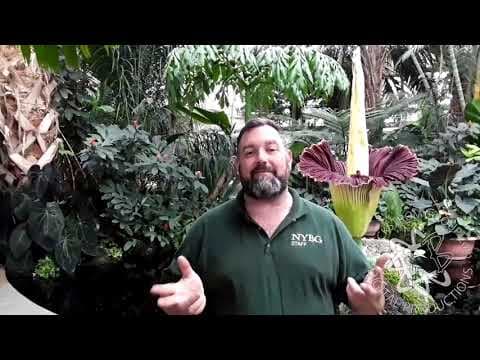 YouTube Video zpiSe2c6jvQ