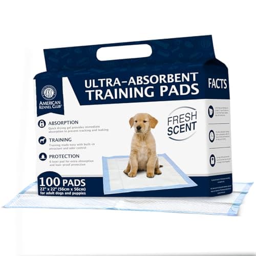 American Kennel Club Scented Puppy Training Pads with Ultra Absorbent Quick Dry Gel – 22 x 22 Pee Pads for Dogs - Fresh Scented - Pack of 100 - image 1 of 1