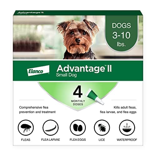 Advantage II Small Dog, 4 pack - image 1 of 1