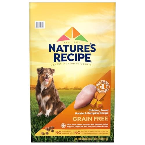 Nature’s Recipe Grain Free Chicken, Sweet Potato & Pumpkin Recipe Dry Dog Food, 24 lb. Bag - image 1 of 1