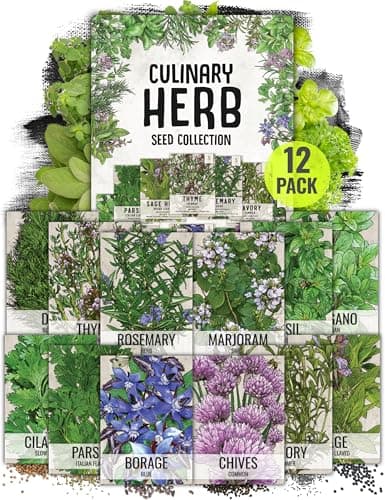 Seed Needs Herb Seeds Variety Pack Culinary Herb Collection (12 Individual Packets for Planting Indoors or Outdoors) Grow Your Own Herb Garden - Heirloom, Non-GMO - image 1 of 1