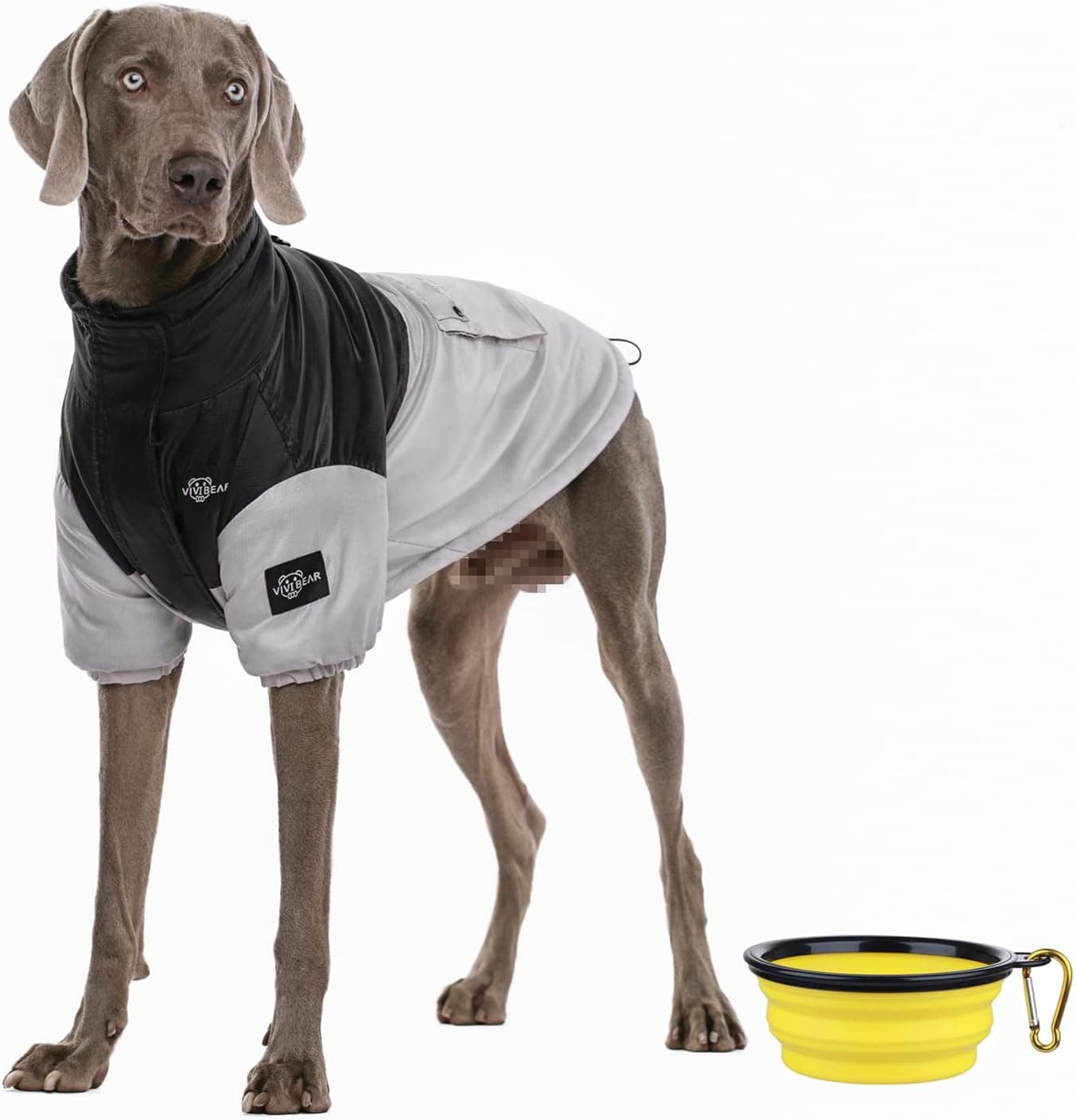 Dog Winter Coat, Padded Vest Dog Jacket - Reflective and Warm Zip Up Dog Vest Interlayer Cotton Jacket with Harness and Back Pocket -Waterproof Dog Cold Weather Coats for Large Dog and Medium - image 1 of 1