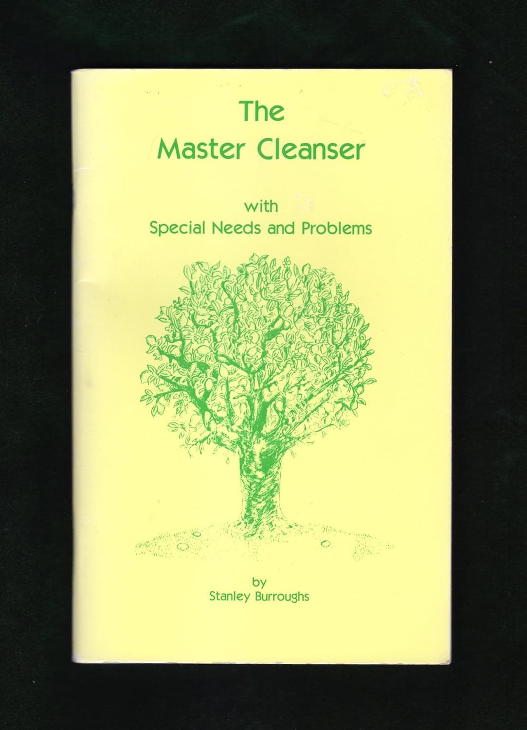 The Master Cleanser: With Special Needs and Problems - image 1 of 1