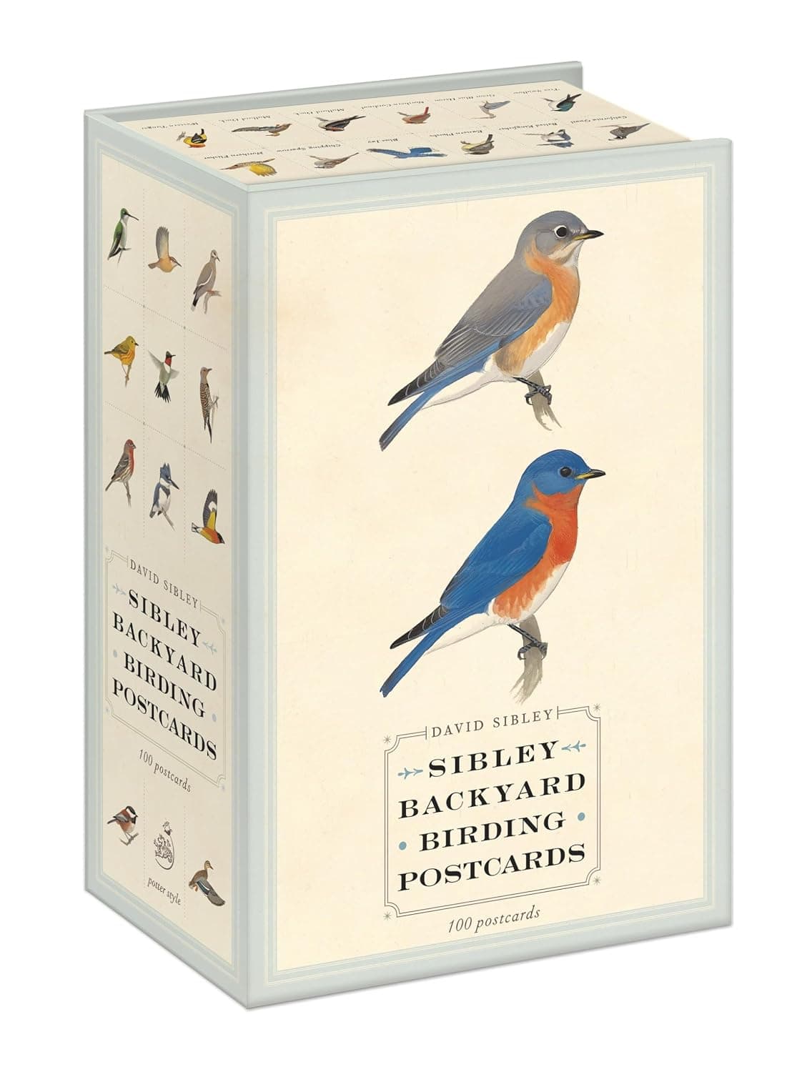 Sibley Backyard Birding Postcards: 100 Postcards (Sibley Birds) - image 1 of 1