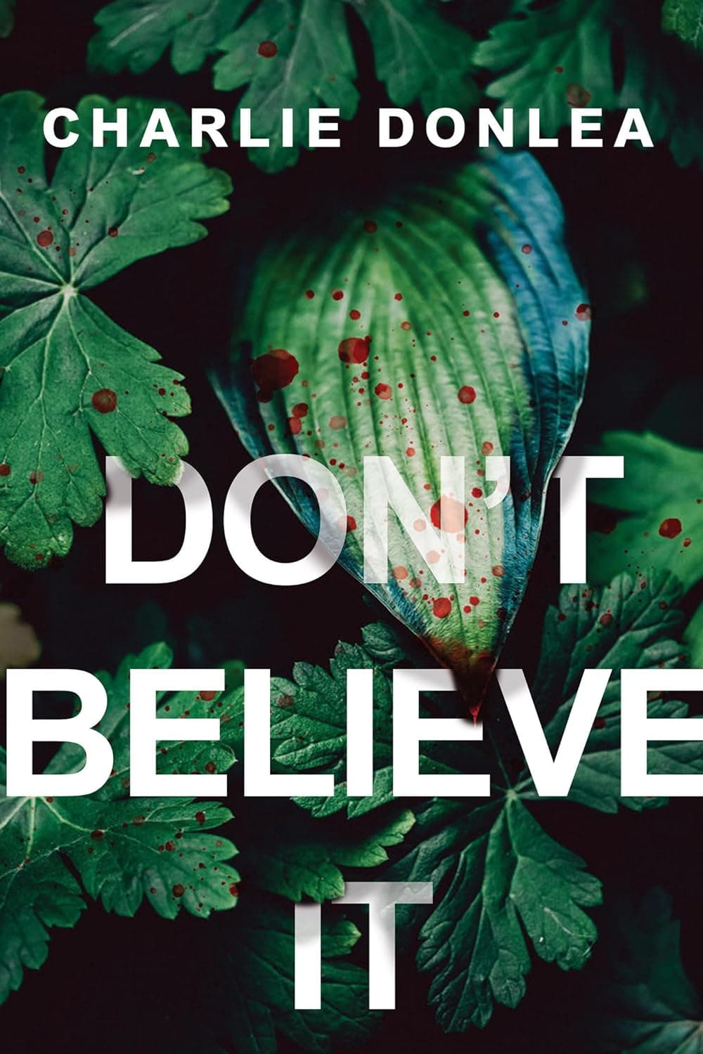 Don't Believe It - image 1 of 1
