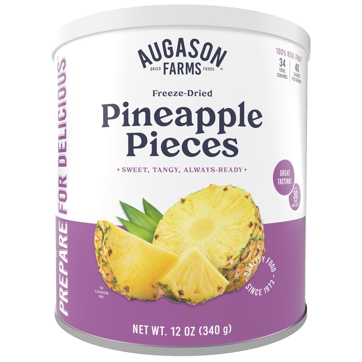Augason Farms Freeze Dried Pineapple Pieces Can, Emergency Food Supply, Everyday Meals, 34 Servings - image 1 of 1