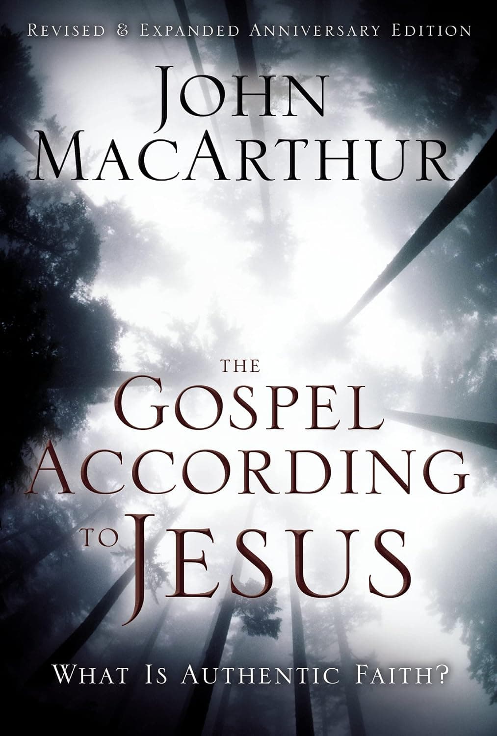 The Gospel According to Jesus: What Is Authentic Faith? - image 1 of 1