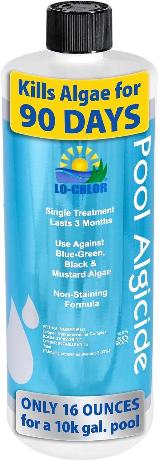 Pool Algaecide for Swimming Pools -Single Treatment Lasts 3 Months, Effective Algaecide for Pool with Unique Organo-Copper Complex - Black, Mustard, and Green Algae Killer for Pools (32 Oz) - image 1 of 1