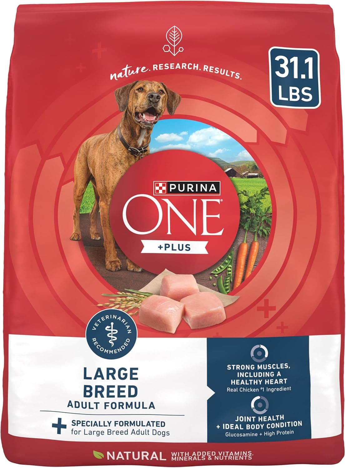 Purina One +Plus Dry Dog Food for Large Adult Dogs High Protein, Real Chicken - 31.1 lb Bag - image 1 of 1