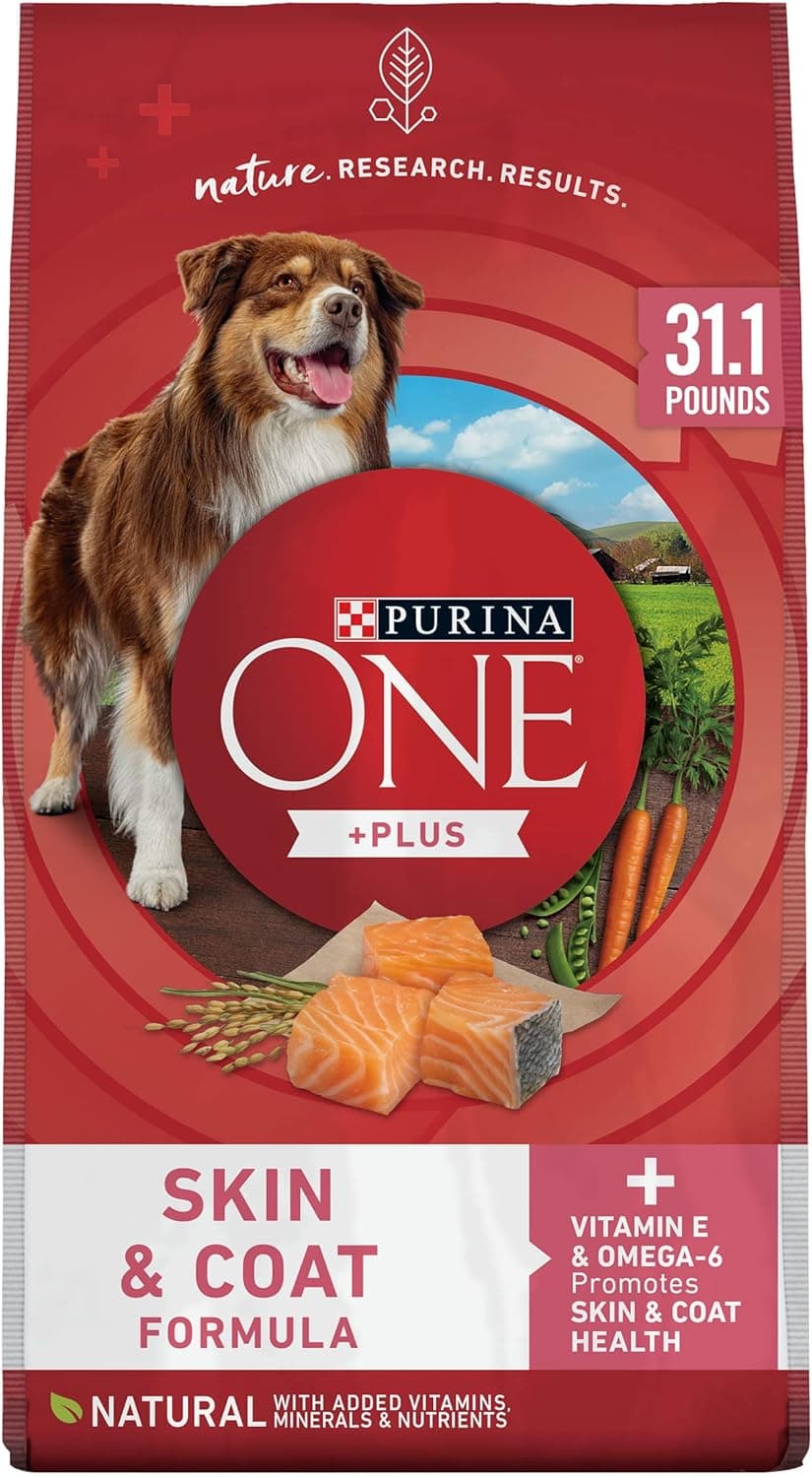 Purina ONE Natural, Sensitive Stomach Dry Dog Food, +Plus Skin & Coat Formula - 31.1 lb. Bag - image 1 of 1