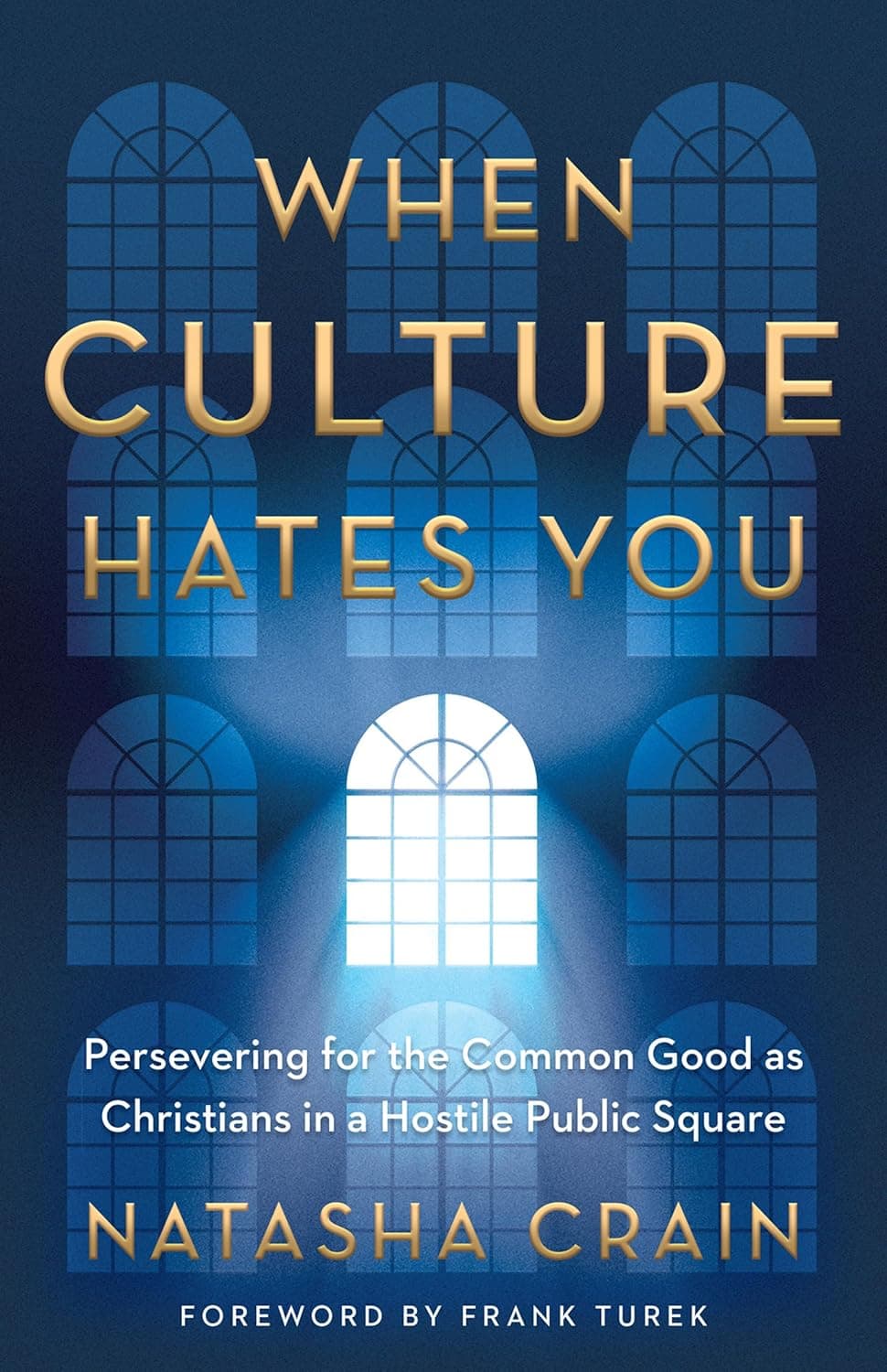 When Culture Hates You: Persevering for the Common Good as Christians in a Hostile Public Square - image 1 of 1