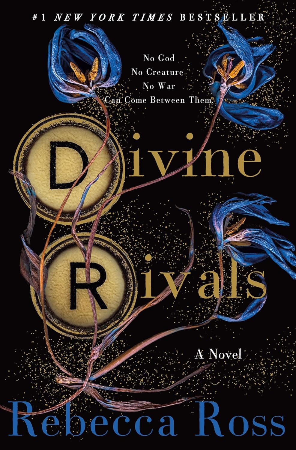 Divine Rivals: A Novel (Letters of Enchantment, 1) - image 1 of 1