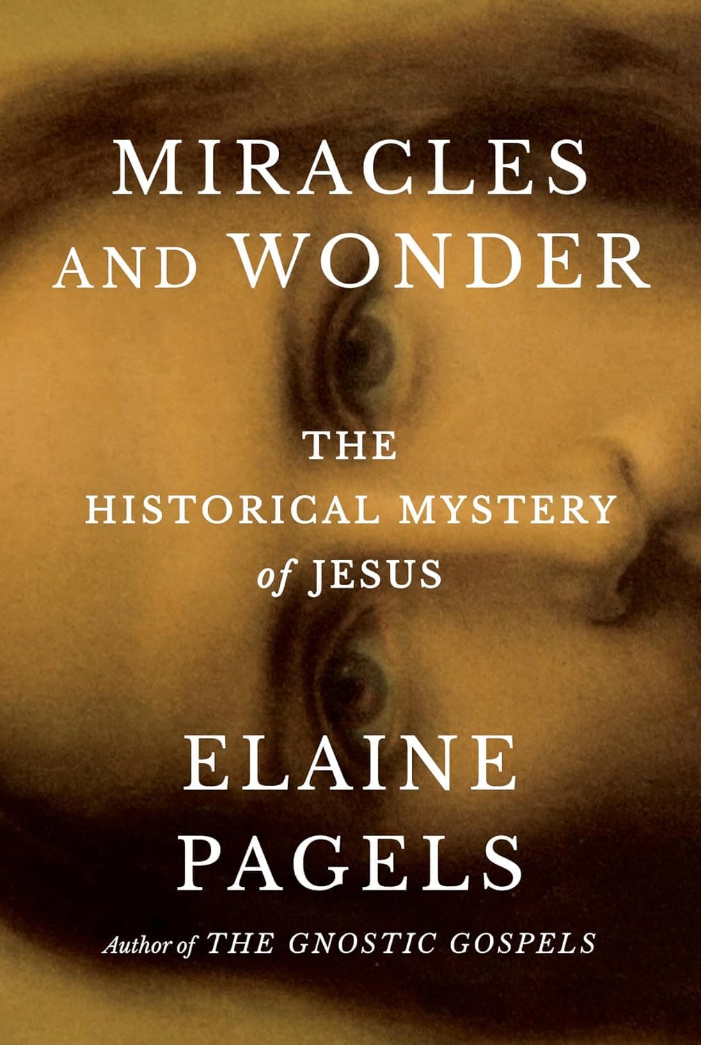 Miracles and Wonder: The Historical Mystery of Jesus - image 1 of 1
