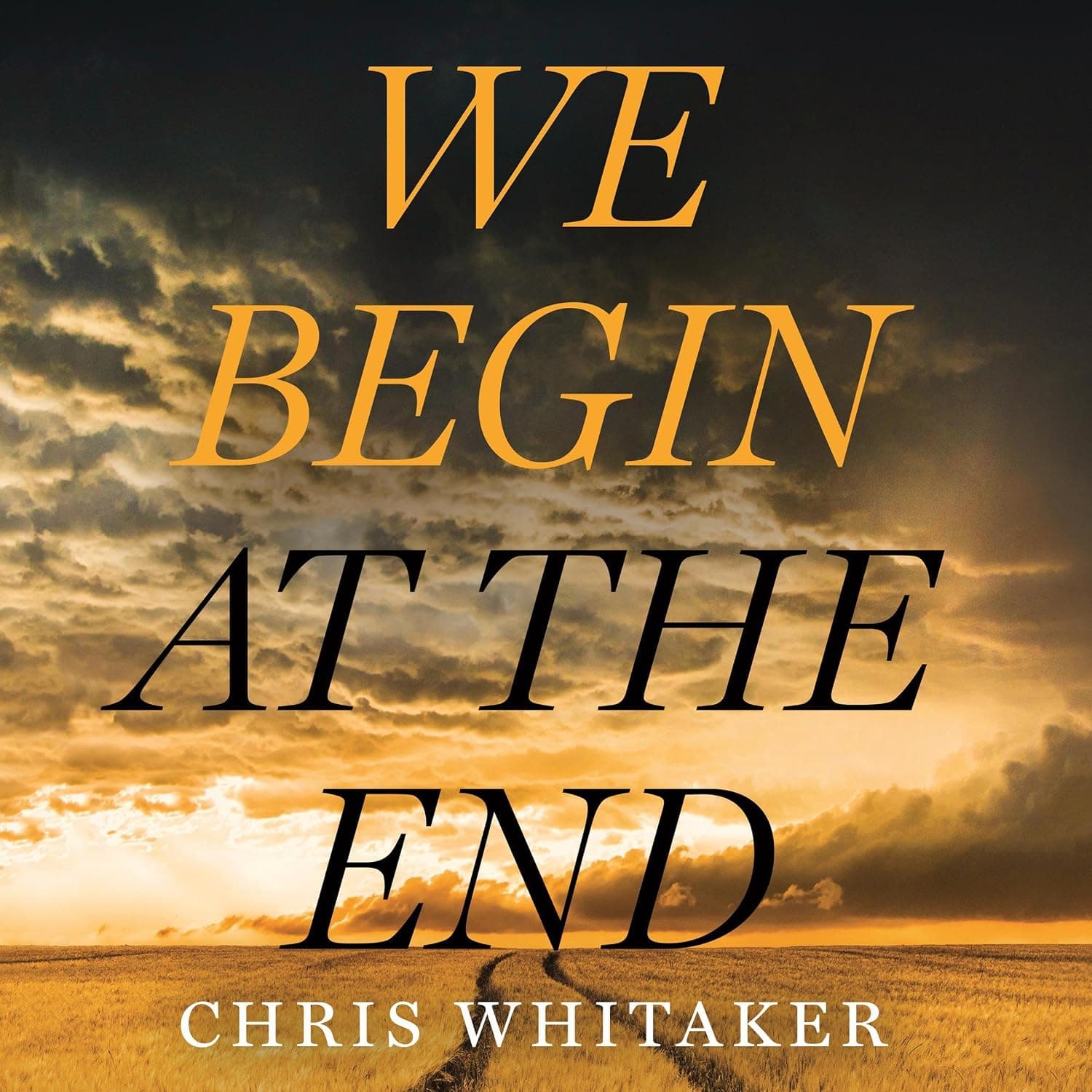 We Begin at the End - image 1 of 1