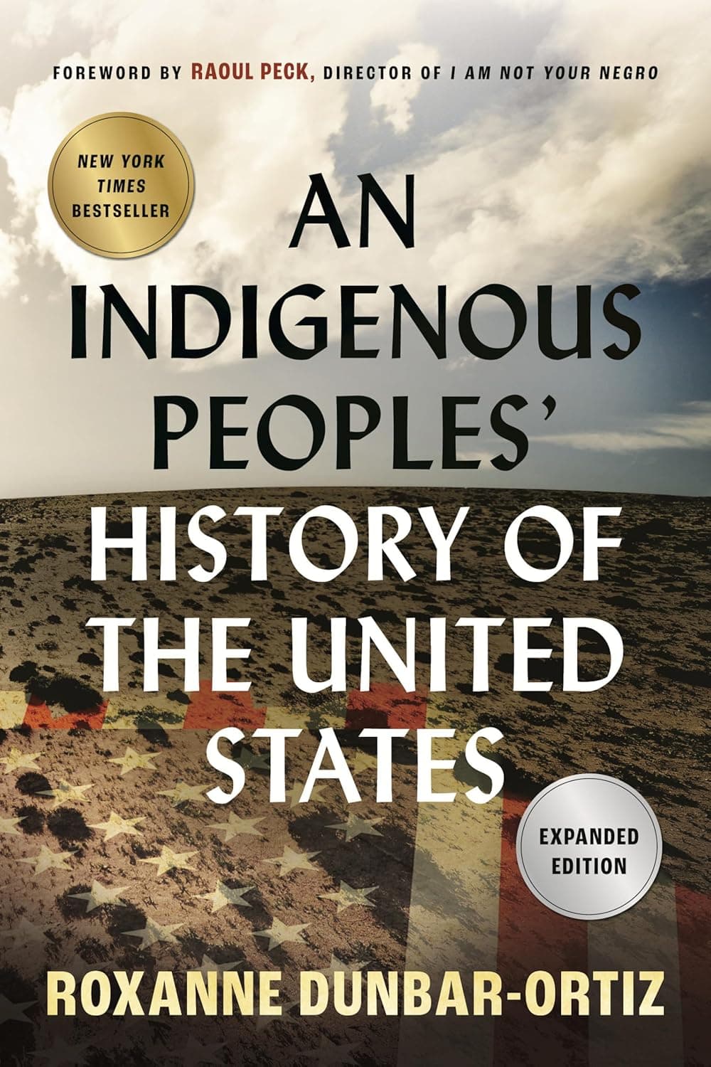 An Indigenous Peoples' History of the United States (ReVisioning History) - image 1 of 1