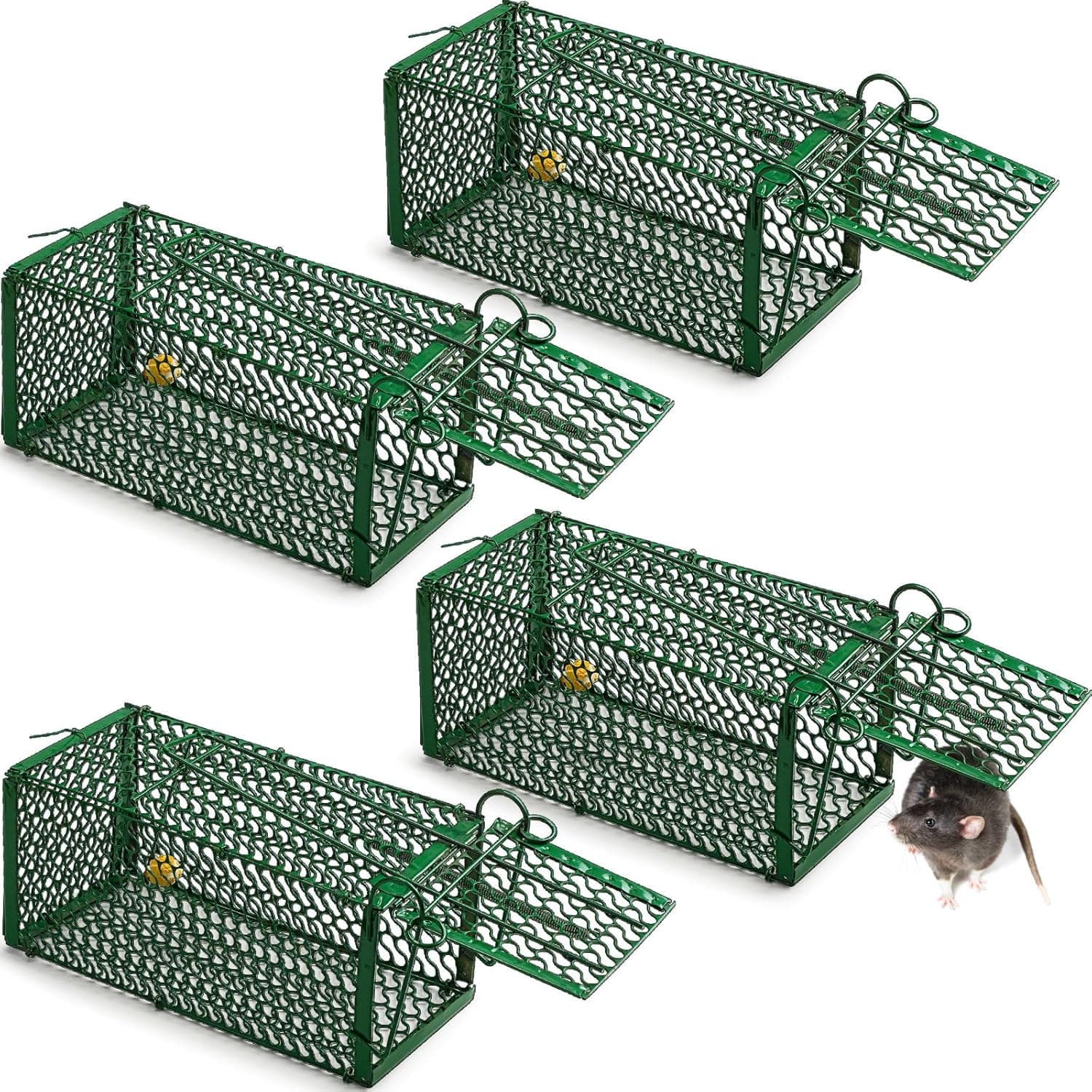 Qualirey 4 Pcs Humane Rat Trap Chipmunk Squirrel Cage Trap Foldable Rodent for Small Live Animal Voles Hamsters Catch and Release for Kitchen Yard Garage Indoors Outdoors (Green) - image 1 of 1