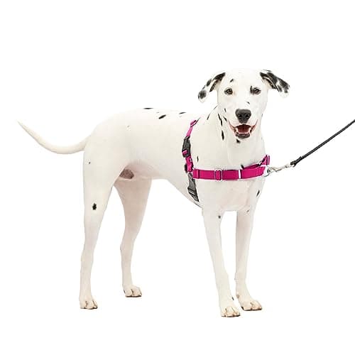 PetSafe Easy Walk No-Pull Dog Harness - The Ultimate Harness to Help Stop Pulling - Take Control & Teach Better Leash Manners - Helps Prevent Pets Pulling on Walks, Medium/Large, Raspberry/Gray - image 1 of 1